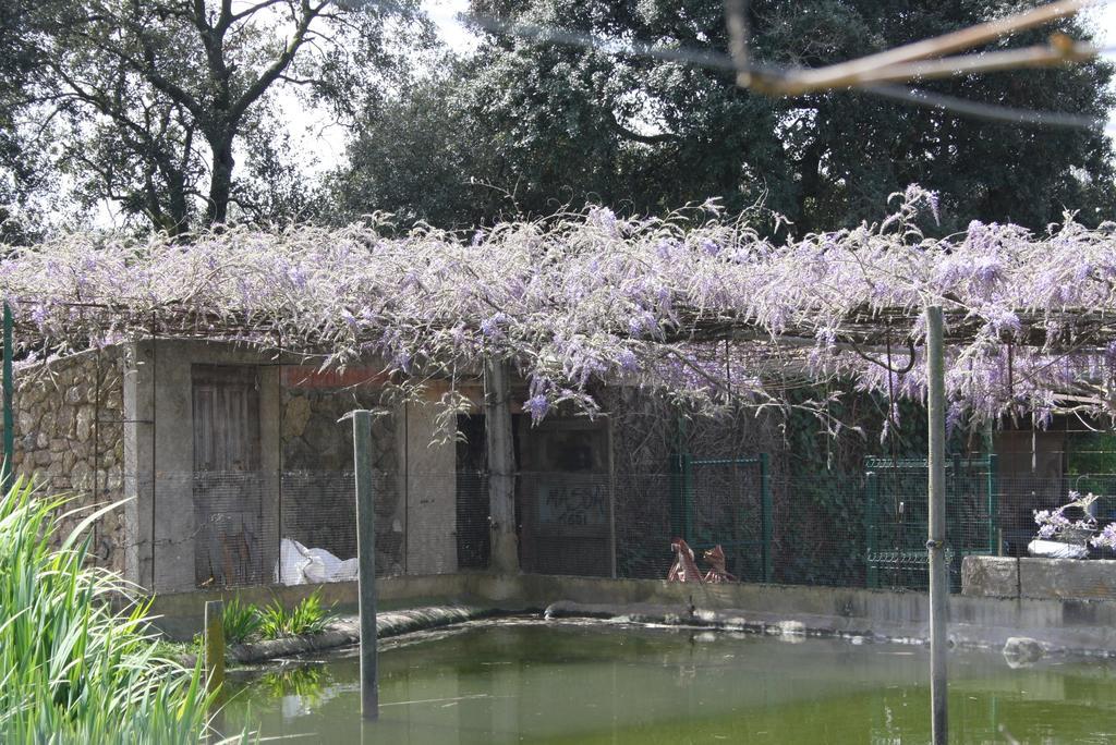 Casa rural Mas Duran