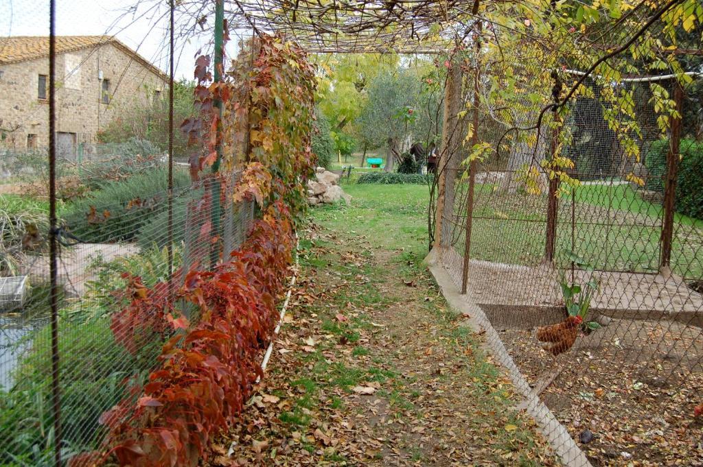 Mas Duran Casa di campagna
